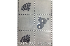 洛阳YX14-TO38 水果蜜柚